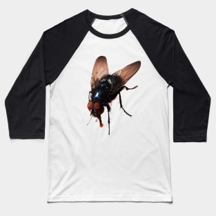 Pretty Giant Fly for Insect Lovers Baseball T-Shirt